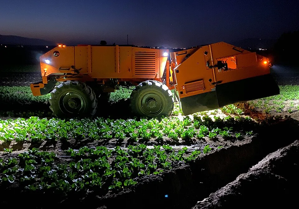 An orange weeding robot working in a field of lettuce at night