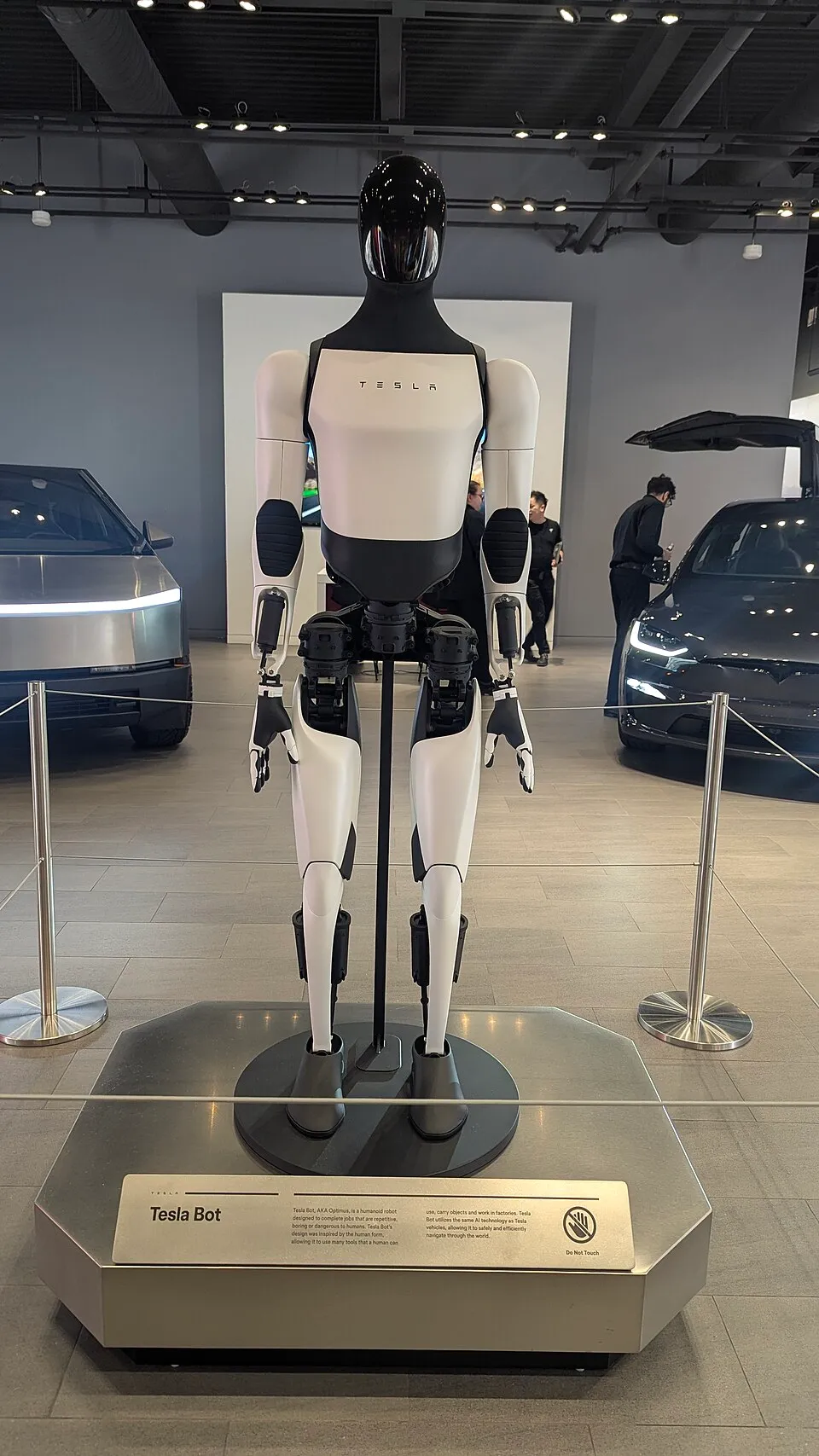 A Tesla Optimus humanoid robot on display in a Tesla showroom